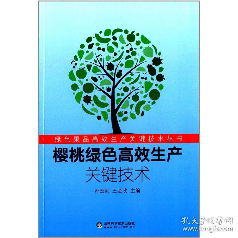 合肥软件开发：为何这里成为创业者的天堂？