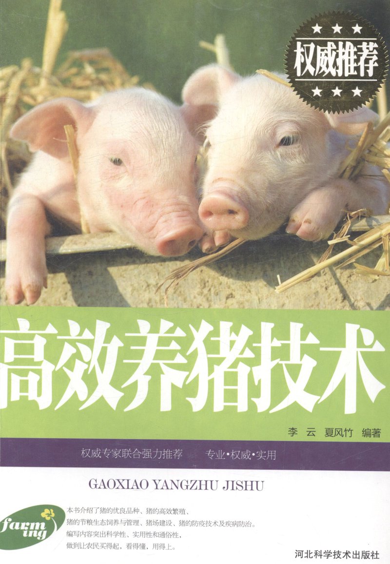 合肥系统集成：企业数字化转型的秘密武器