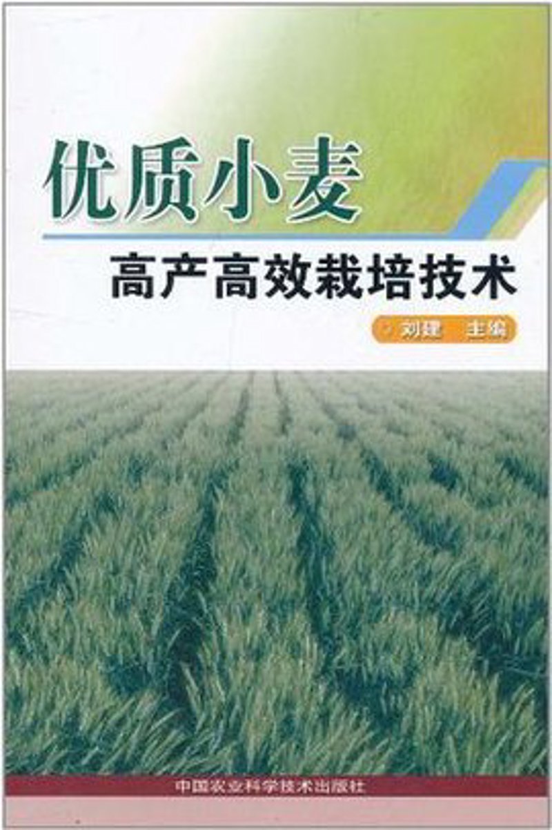 合肥APP开发：本地服务与技术优势的双轮驱动